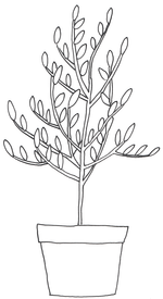 今日のお便り♪