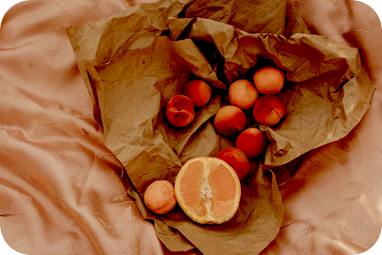 お盆休みのお知らせ