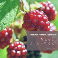 ちょっとうちのセラピーのこと、簡単に載せてみます