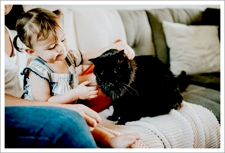 年末年始の営業のお知らせ