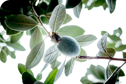 2月5日は臨時休業とさせてください。