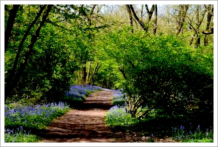 20・21日臨時休業のお知らせ。