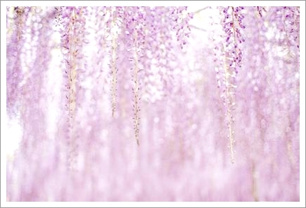 GWお休みのお知らせ