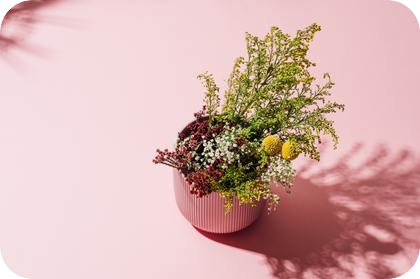 🙇‍♀️9月6日（月）は、臨時休業とさせて下さい。