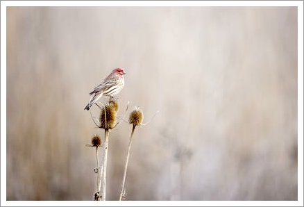 「セラピーに関するご質問」１件アップしました