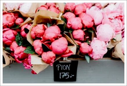 浄化というのは原因を突き止めてようやく完了する