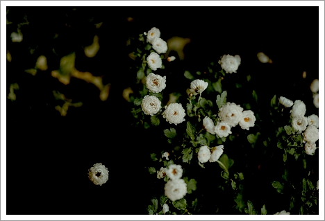 「セラピーに関するご質問」1件アップしました