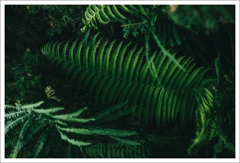 「セラピーに関するご質問」「ちょっとセラピーのこと」１件ずつアップしました。