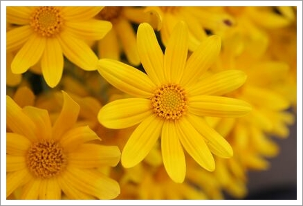 「ちょっとセラピーのこと」１件アップしました