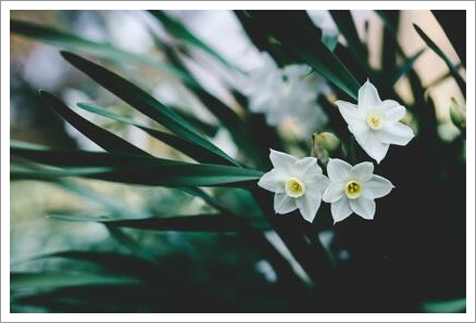 「お客様の声」1件アップしました