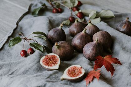 「ちょっとセラピーのこと」１件アップしました(^-^*)/