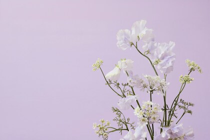 「ちょっとセラピーのこと」１件アップしました。