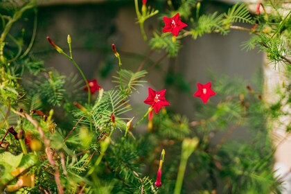 オーラが変わるってどうなっているのがどんなふうに変わるのですか？