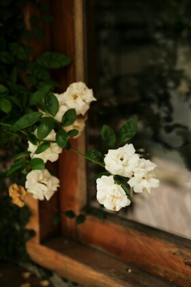 「セラピストの役割」１件アップしました。