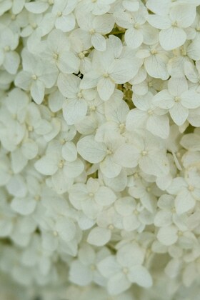 「ちょっとセラピーのこと」１件アップしました。