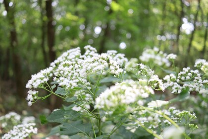 セッション後、頭痛があります。大丈夫でしょうか？