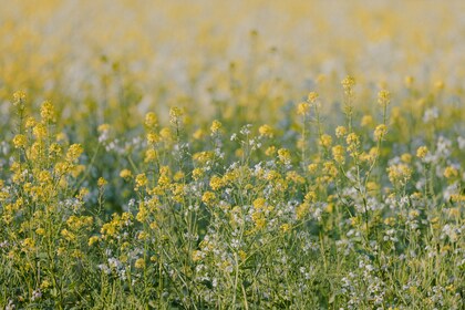 「ちょっとセラピーのこと」１件アップしました