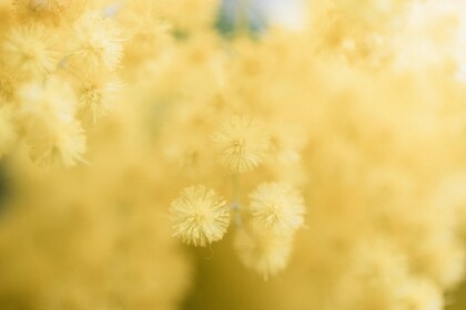 「セラピーに関するご質問」１件アップしました