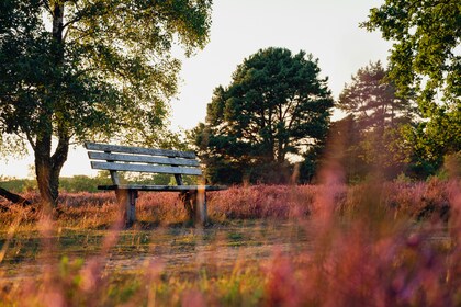 「ちょっとセラピーのこと」１件アップしました。