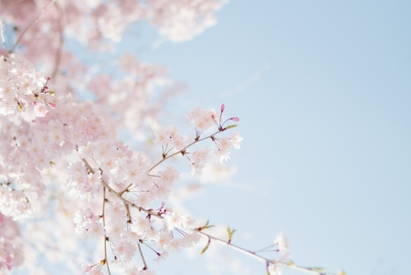 臨時休業などのお知らせ