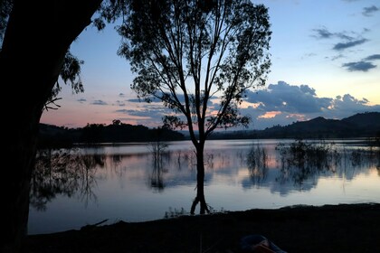 「ちょっとセラピーのこと」1件アップしました