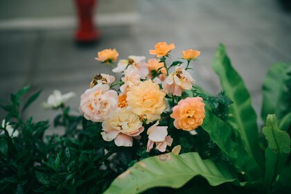 「ちょっとセラピーのこと」1件アップしました