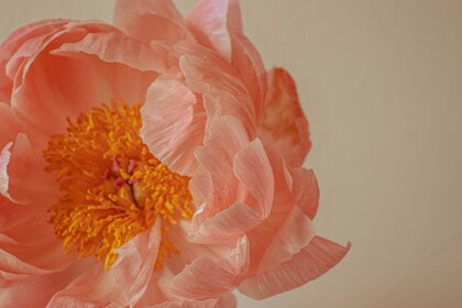 「セラピーに関するご質問」1件アップしました