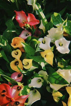 「セラピーに関するご質問」1件アップしました。