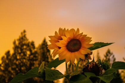 7月12日（土）は臨時休業させていただきます