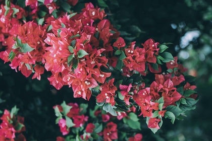 「ちょっとセラピーのこと」１件アップしました