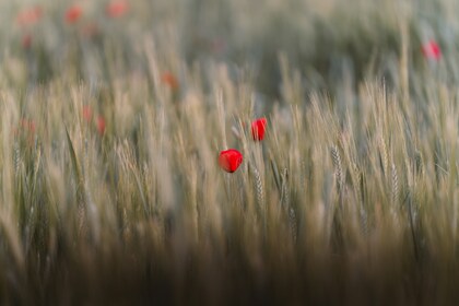 「セラピーに関するご質問」１件アップしました