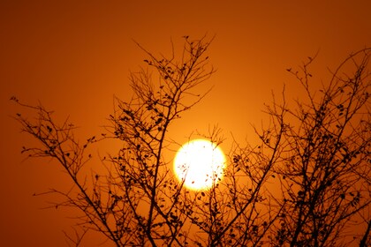 「ちょっとセラピーのこと」１件アップしました