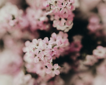 「ちょっとセラピーのこと」1件アップしました。