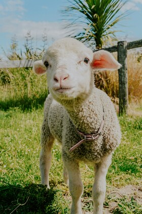 明日3月13日(金)は臨時休業させてください。