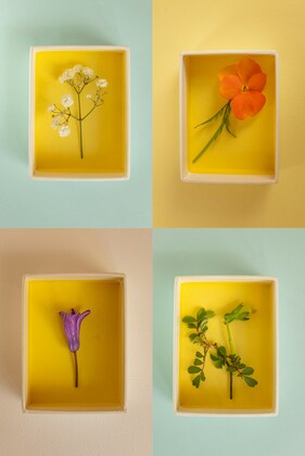 「ちょっとセラピーのこと」1件アップしました