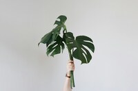 心だけではなくて、現実面までの変化まで頭に入れています(^-^*)/