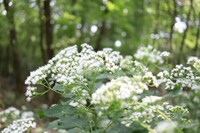 セッション後、頭痛があります。大丈夫でしょうか？