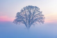 明日1月31日(土)は臨時休業させてください。