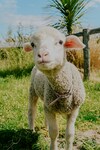 明日3月13日(金)は臨時休業させてください。