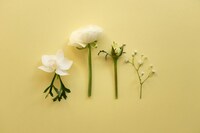 「ちょっとセラピーのこと」１件アップしました