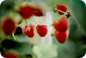 キーワードを１つに絞り込んで取り組んでいくので超最高のヒーリングとなります